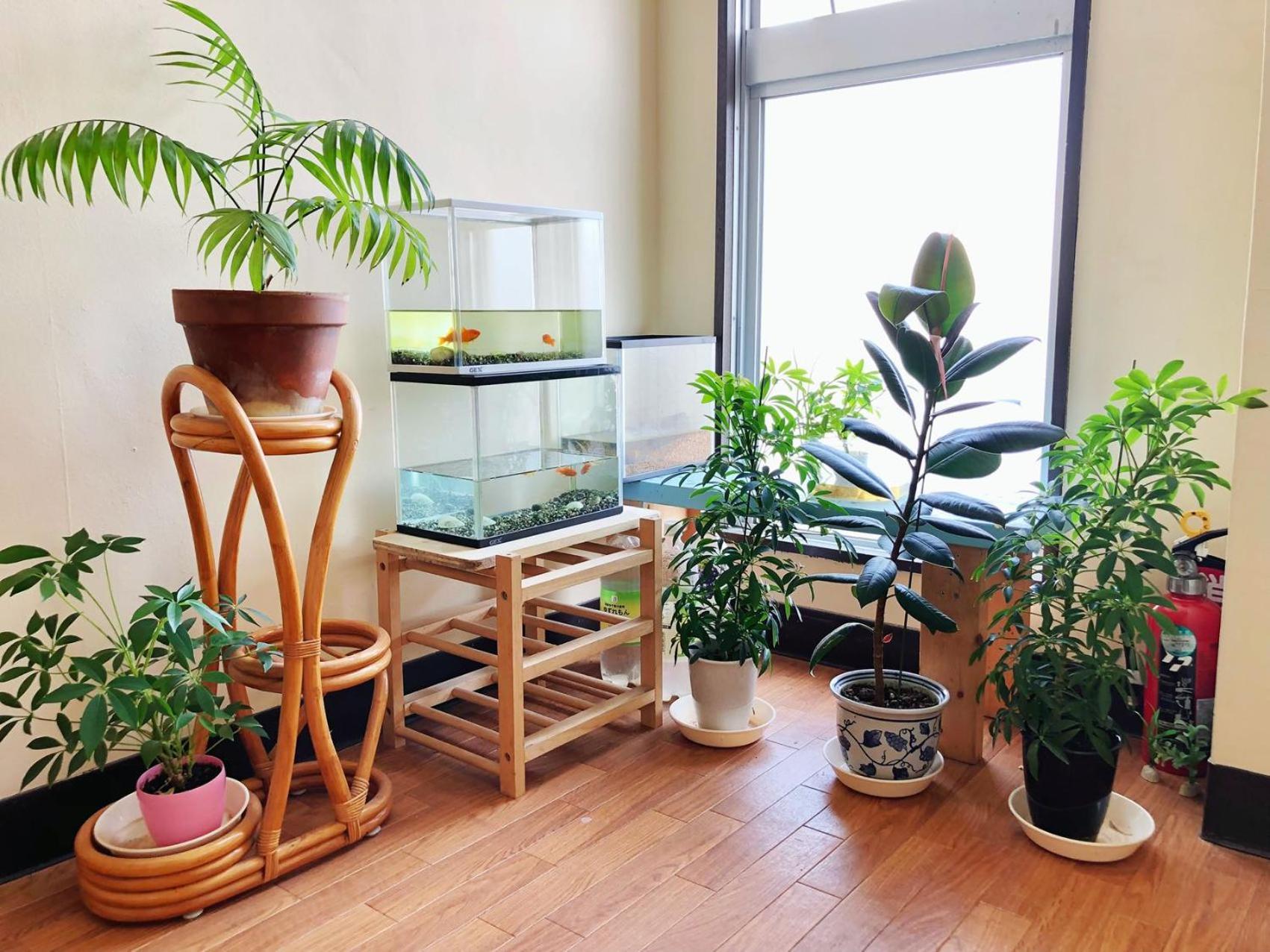 Garden Guest house